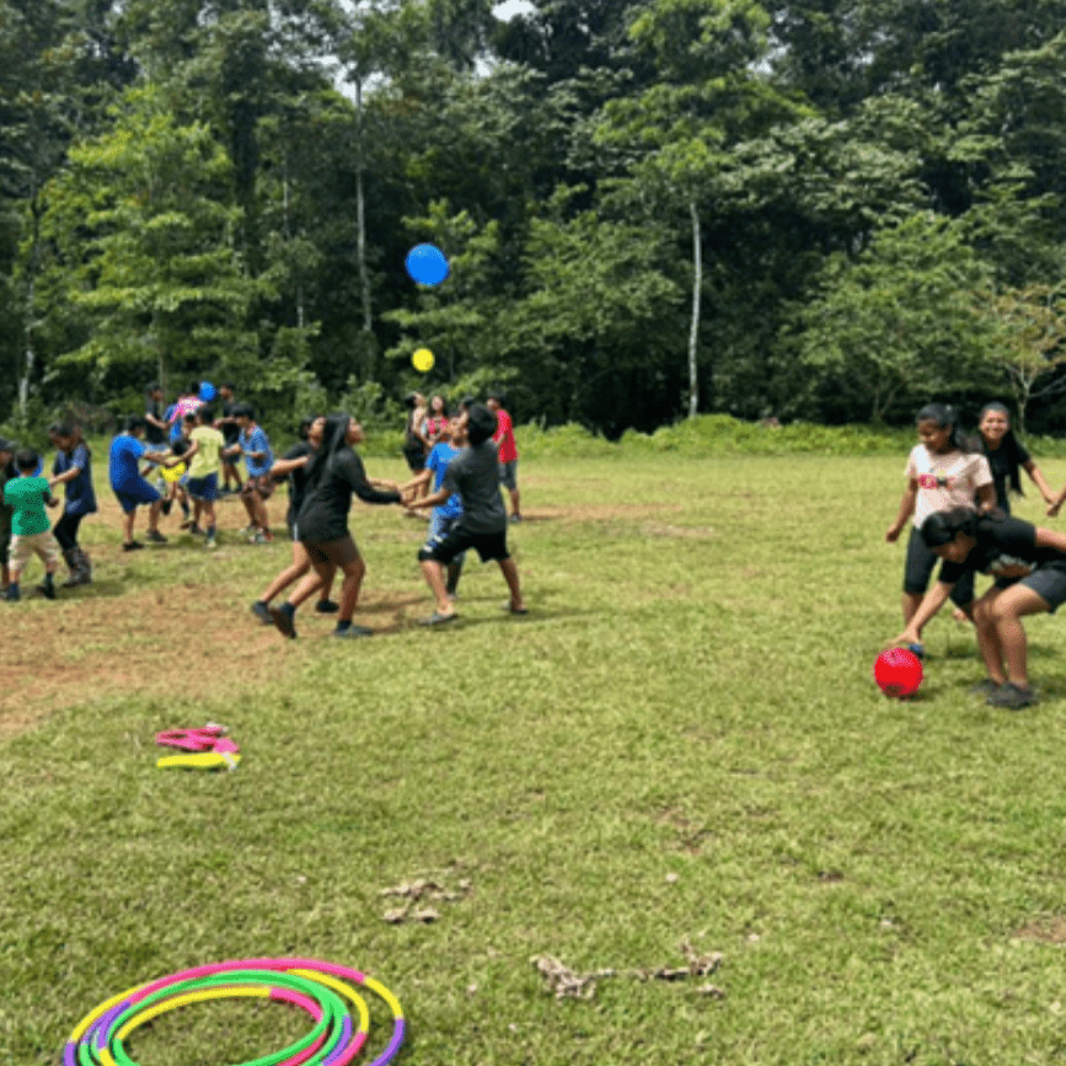 APCM Costa Rica The Nest